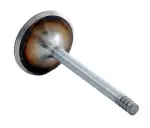 IM4416 - : Engine Intake Valve for Enginetech Image