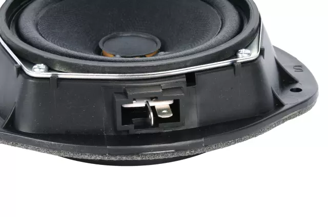 96540725 - Body: Front Dr Speaker for Chevrolet: Aveo, Aveo5 Image