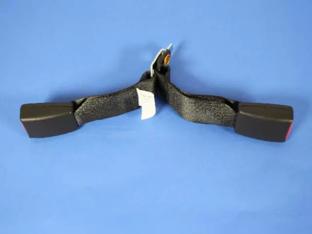 Rear Inner Seat Belt - Mopar (1BY491DVAB)