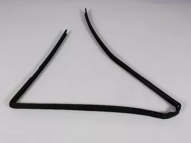 Glass Channel Run Weatherstrip - Mopar (55395174AA)