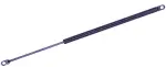 611281 - : Liftgate Lift Support for Tuff Support Image