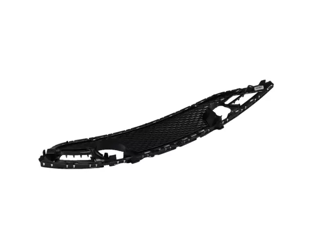 68202989AC - Exterior Ornamentation: Lower Grille for Mopar Image