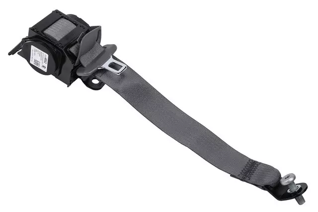 23132356 - Body: Cluster Bezel for GM Image