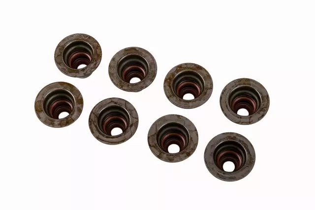 12482062 - Engine: Valve Seals for Buick: LaCrosse, Lucerne, Rainier, Terraza | Cadillac: CTS, Escalade, Escalade ESV, Escalade EXT | Chevrolet: Avalanche, Avalanche 1500, Camaro, Caprice, Colorado, Corvette, Express 1500, Express 2500, Express 3500, Express 4500, Impala, LCF 3500, Malibu, Monte Carlo, Silverado 1500, Silverado 1500 Classic, Silverado 1500 HD, Silverado 1500 HD Classic, Silverado 2500, Silverado 2500 HD, Silverado 2500 HD Classic, Silverado 3500, Silverado 3500 Classic, Silverado 3500 HD, SS, SSR, Suburban 1500, Suburban 2500, Suburban 3500 HD, Tahoe, Trailblazer, Trailblazer EXT, Uplander | GMC: Canyon, Envoy, Envoy XL, Envoy XUV, Savana 1500, Savana 2500, Savana 3500, Savana 4500, Sierra 1500, Sierra 1500 Classic, Sierra 1500 HD, Sierra 1500 HD Classic, Sierra 2500, Sierra 2500 HD, Sierra 2500 HD Classic, Sierra 3500, Sierra 3500 Classic, Sierra 3500 HD, Yukon, Yukon XL 1500, Yukon XL 2500 | Hummer: H2, H3, H3T | Pontiac: Firebird, G6, G8, Grand Prix, GTO, Montana | Saturn: Aura, Relay, Vue Image
