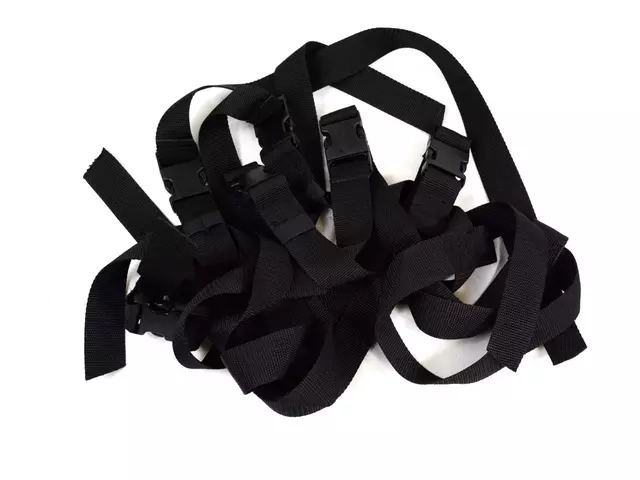 5066332AA - Mopar Accessories - Component Parts: Luggage Carrier Strap Kit for Chrysler: 300, Aspen, Pacifica, Town &amp; Country, Voyager | Dodge: Caravan, Charger, Dakota, Durango, Grand Caravan, Journey, Magnum, Nitro | Jeep: Cherokee, Commander, Compass, Grand Cherokee, Liberty, Patriot Image