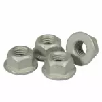 W520102S439 - : Hose &amp; Tube Assembly Nut for Ford: Fiesta, Ranger Image
