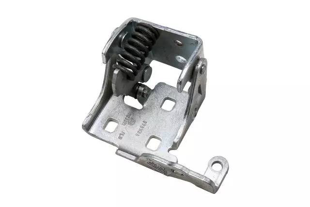 20880867 - : Hinge Assembly-Front S/D Lower for GM Image