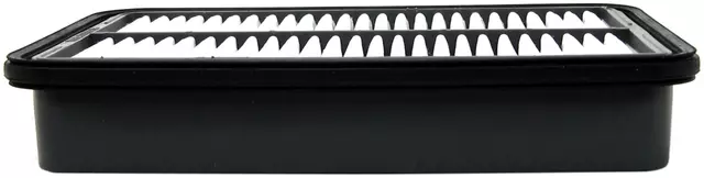 25099551 - : Air Filter for GM Image