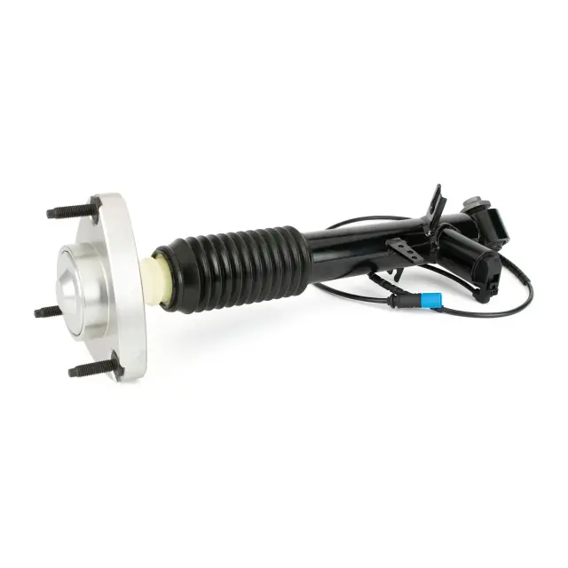 SK3817 - : Arnott Suspension Shock Absorber for Arnott Image
