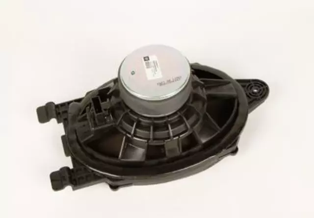 13264617 - Body: Speaker for Buick: LaCrosse, Regal Image