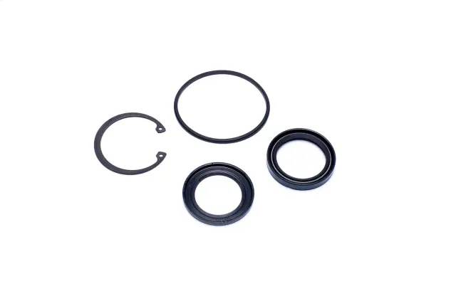 8401481 - Suspension &amp; Steering: Steering Gear Pitman Shaft Seal Kit for Sunsong Image
