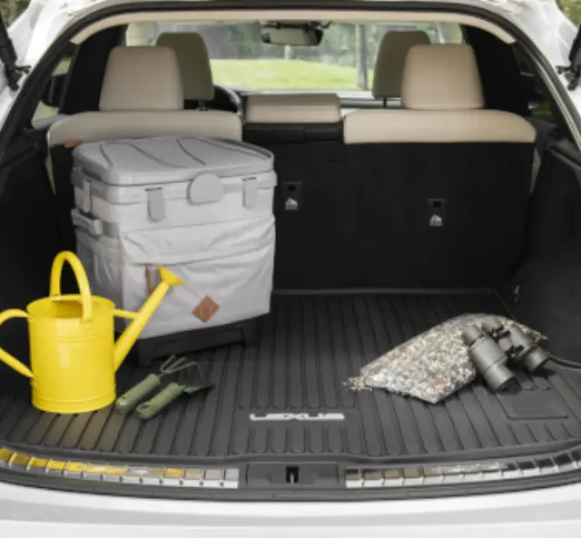 PT2064823520 - : All-Weather Cargo Mat for Lexus Image
