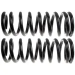80910 - : Front Coil Spring Set for Moog Image