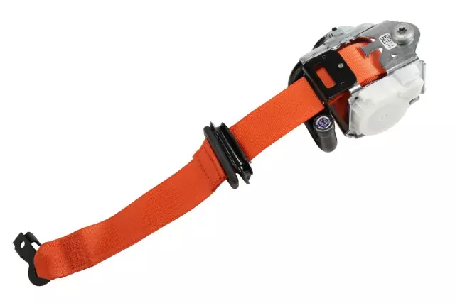 19355849 - : F Belt Kit for Chevrolet: Camaro Image