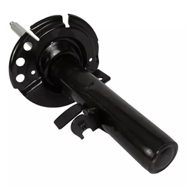 Shock Absorber Assembly - Front - Ford (AST-12372)