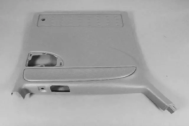 Sliding Door Trim Panel, Left - Mopar (1AH931D1AA)