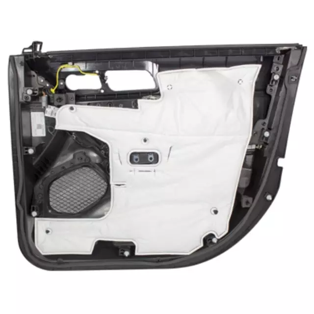 Panel Assembly Door Trim - Ford (DB5Z-7823943-BC)