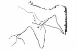 86520288 - : F Harness for GM Image