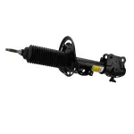 AST86014 - : Strut Suspension for Ford Image