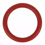 JT4Z8527B - Emission System: Inlet Pipe O-Ring for Ford: Bronco, Bronco Sport, Escape, F-150, Maverick, Ranger | Lincoln: Corsair, Nautilus Image