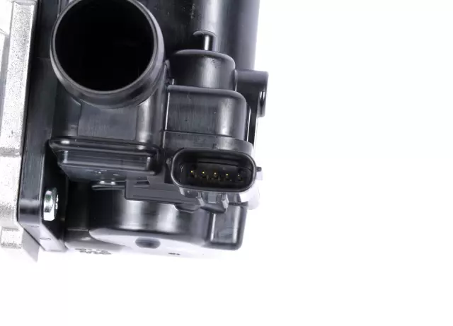 Check Valve - Driver's Side (LH) - GM (12652896)