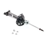 E62104GE1D - : Suspension Shock Absorber for Infiniti Image