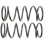 81113 - : Coil Spring Set for Moog Image
