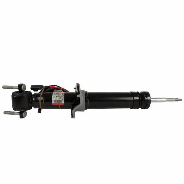 AST84828 - : Motorcraft™ Shock Absorber for Ford: Expedition | Lincoln: Navigator Image