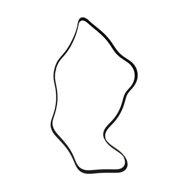 SK060714 - Engines &amp; Components: SKP Serpentine Belt for Skyward Automotive Image