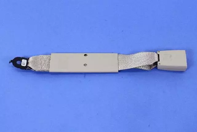 1XE661L1AA - Restraints: Buckle Assy-s/belt Buckle Assy for Mopar Image