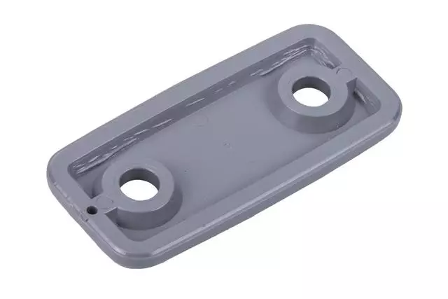 F Plug - GM (97408029)