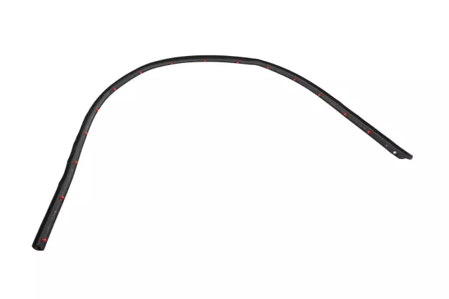 Side Door Lower Auxiliary Weatherstrip - GM (23204898)