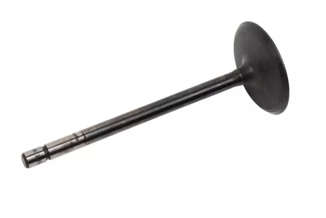 12610931 - : Intake Valve for GM Image