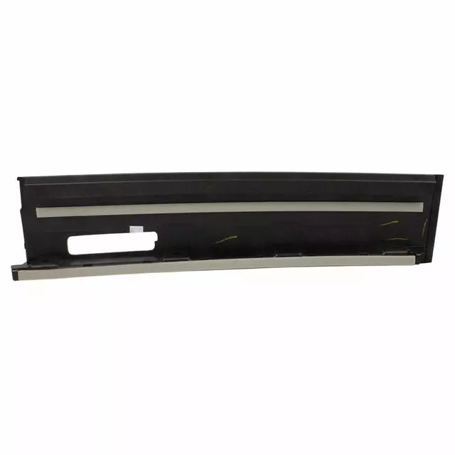 Molding Door Outside - Ford (FL3Z-1520555-TE)