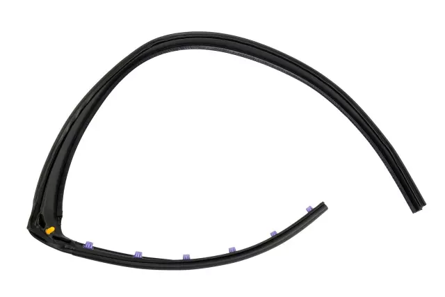 Drip Weather-Strip - GM (20816083)