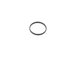 68723333AA - Engine: Ring Seal for Mopar Image