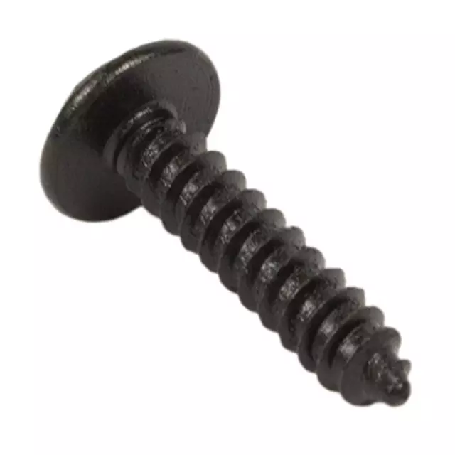 Striker Screw - Ford (W502662-S451)
