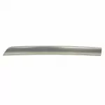 BB5Z7804339AA - Body: Trim Molding for Ford: Explorer Image