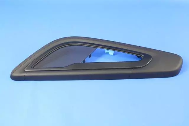 5QZ10DX9AA - Body: Door Armrest for SRT: Viper Image