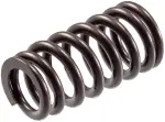 VS2484 - : Stock Replacement Valve Spring for Melling Image