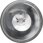 4537C1 - : Philips Standard Sealed Beam 4537 for Philips Image