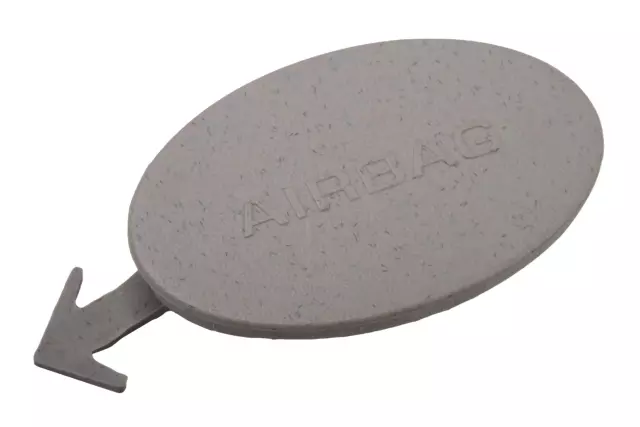 Granite Opel Gray Driver Side Center Pillar Upper Trim Panel Bolt Cap - GM (42422879)