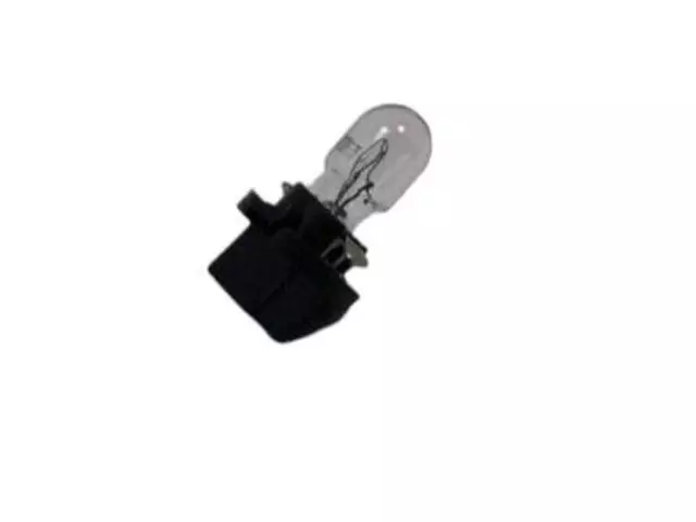 Bulb & Socket - Ford (YL3Z-13B765-CA)