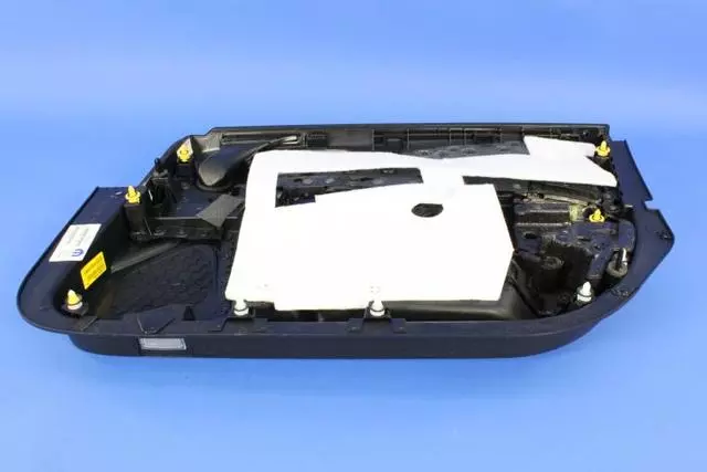 Front Door Panel, Left - Mopar (5RE631M8AB)