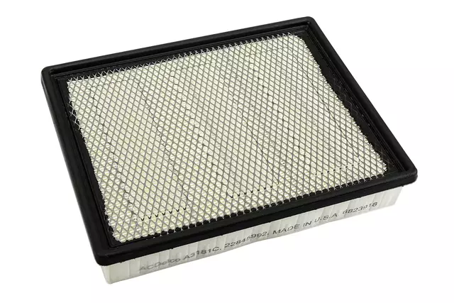 Acdelco™ Engine Air Filter - GM (A3181C)