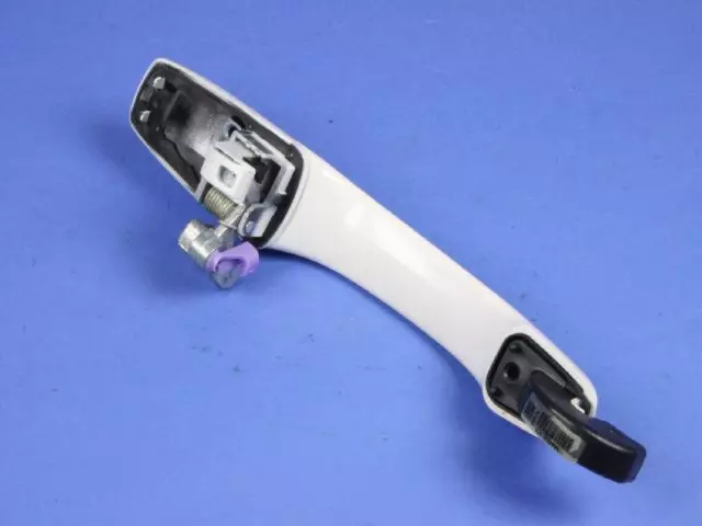 Exterior Door Handle, Right - Mopar (1na54sw1af)