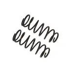53292018 - : B12 (Special) - Coil Spring Set for Bilstein Image