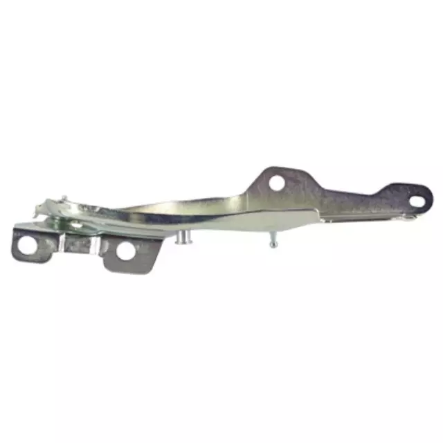 Hinge - Ford (CL1Z-16797-A)