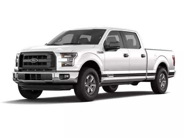 VGL3Z9920000B - : Tri Bar Stripe - Matte Black for Ford: F-150 Image