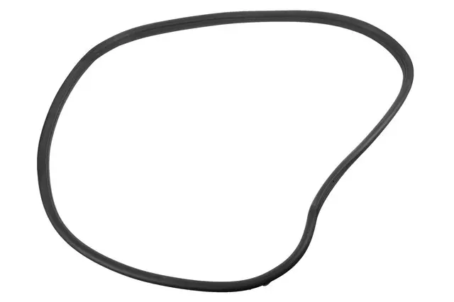 92253116 - Body: Weather-strip On Body for Chevrolet: SS Image